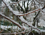 gelicidio lunigiana