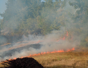 incendi lunigiana