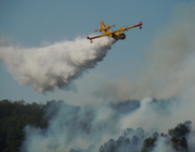 incendio stadano