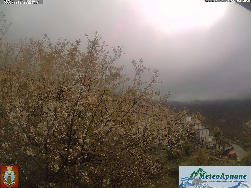 Preview delle webcam di Vinca (Fivizzano)